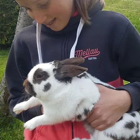 Ferienhus Klus 415 Prázdninový dům