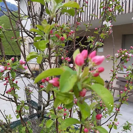 بيت للعطل Ferienhus Klus 415 *