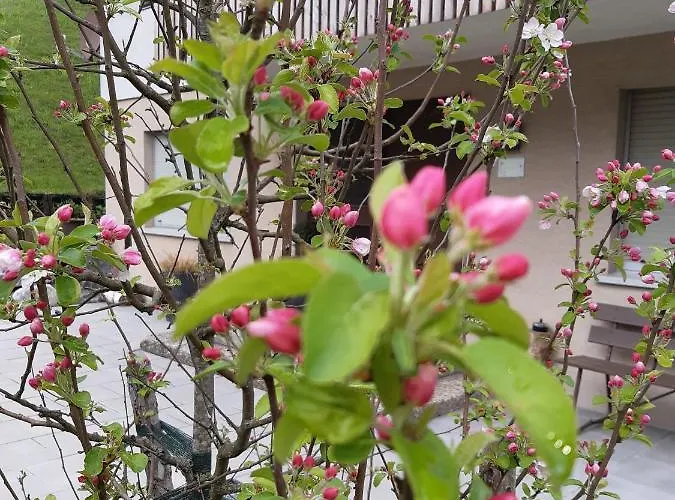 別荘 Ferienhus Klus 415 *